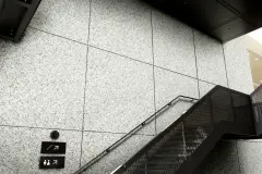 1239001879 SGC-G-703